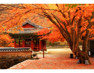 Đền Todaiji